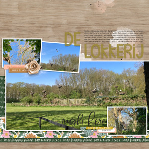 De Lokkerij