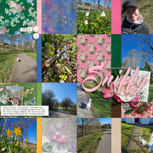May-23 Photography Challenge