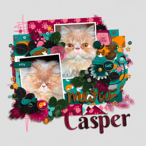 Casper