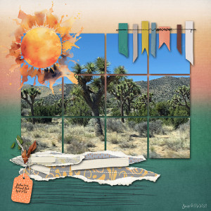 INSD_Scraplift_Joshuatree