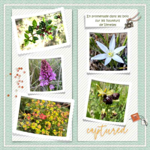 May Photography Challenge