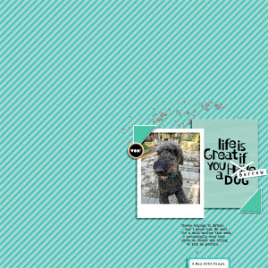iNSD23_Scraplift_Spcoggs_Borrow a Dog