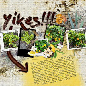 2023-Lemons-Monica-Slow-Scrap