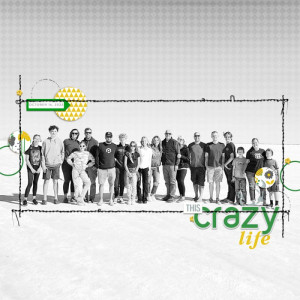 ThisCrazyLife(SaltFlats)