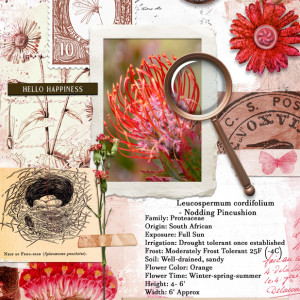 Botanical