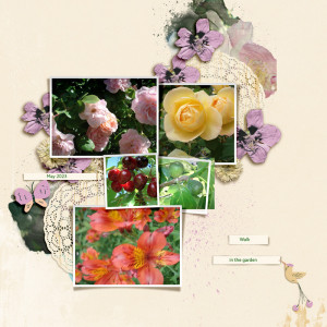 Walk in my garden