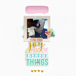 Find Your Joy in the Little Things