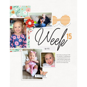 Week-15L