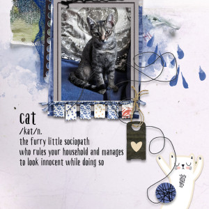 The Cat