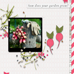 How Does Your Garden Grow