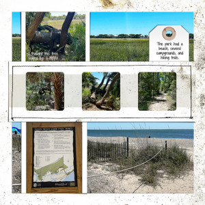 Edisto Beach State Park Hike_right