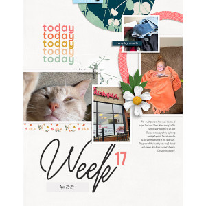 Week-17L