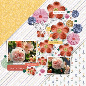 Spring Flowers