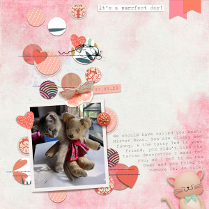 230507_Pip Bear