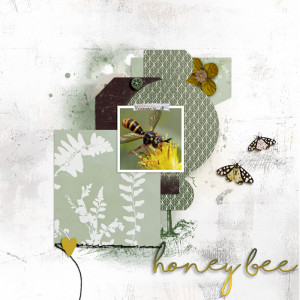 Honey Bee