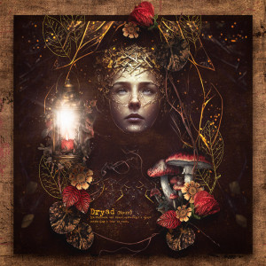 InhabitingRoots
