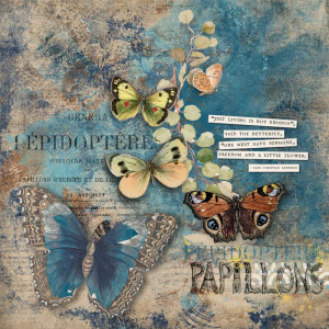 Random challenge May - Butterflies