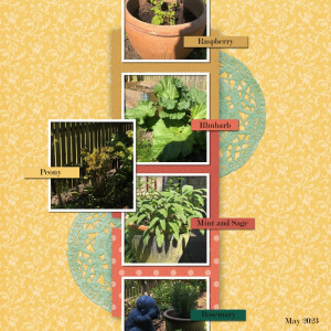 Photography challenge May