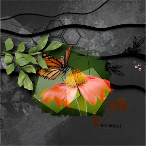 ArtCrush 59