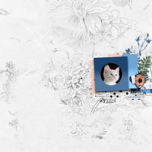 05-2023 May Template Challenge - Kitten