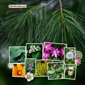 2023-5-16-our-gardens-_600web