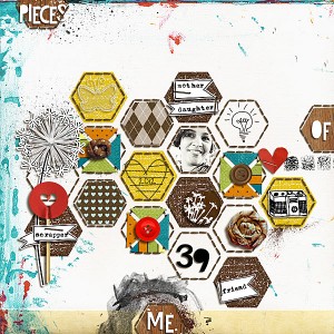 pieces of me