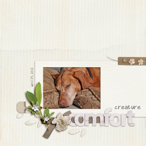 creature comfort
