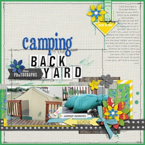 Back Yard Camping