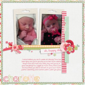 8 Weeks Old