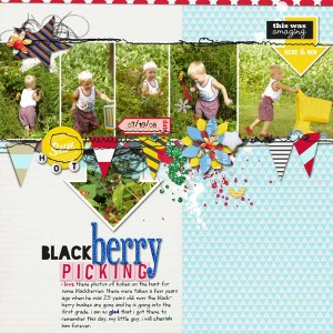 Blackberry Picking