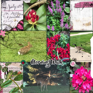 05-2023 May Photography Challenge - Morning Walk