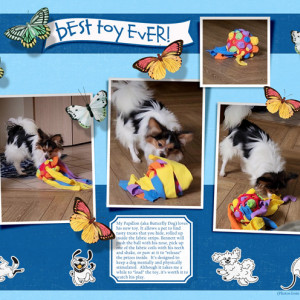 Best-Toy-Ever!