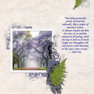 Jacaranda