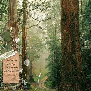 Go To The Forest