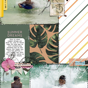 Summer Dreams