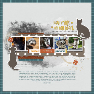 Paw Prints On My Heart Web