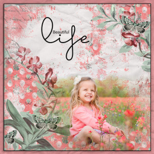 Beautiful Life