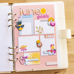 June Goals (hybrid)