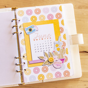 June Planner Cover (hybrid)