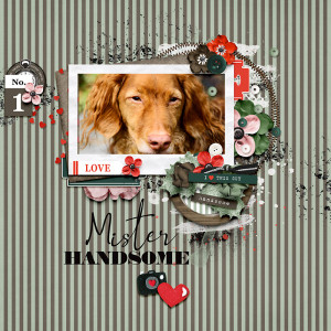 Mr. Handsome