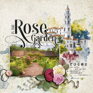 FF_may26_AWA_NBK_In The Rose Garden