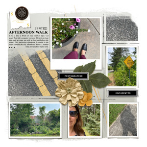 Afternoon Walk