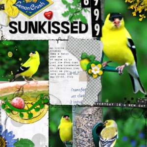 Marilyn_Rachel-Jefferies_2023-05-May_New_0526_MPM_Sunkissed_web
