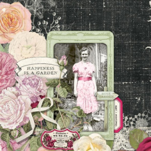 The Rose Garden
