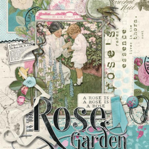 The Rose Garden