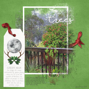 Wk 4_landscape_trees