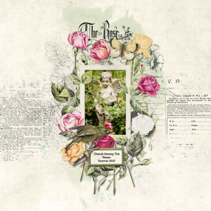 The Rose Cherub