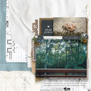 AtHomeAmongstTheWoods