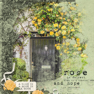 The Rose Garden