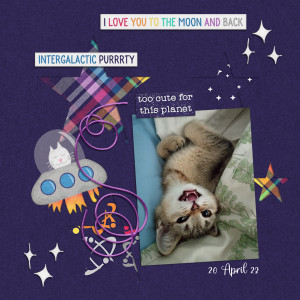 230420_cute Cat